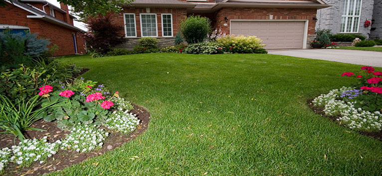 Essential Summer Garden Maintenance Tips | Greenbloom