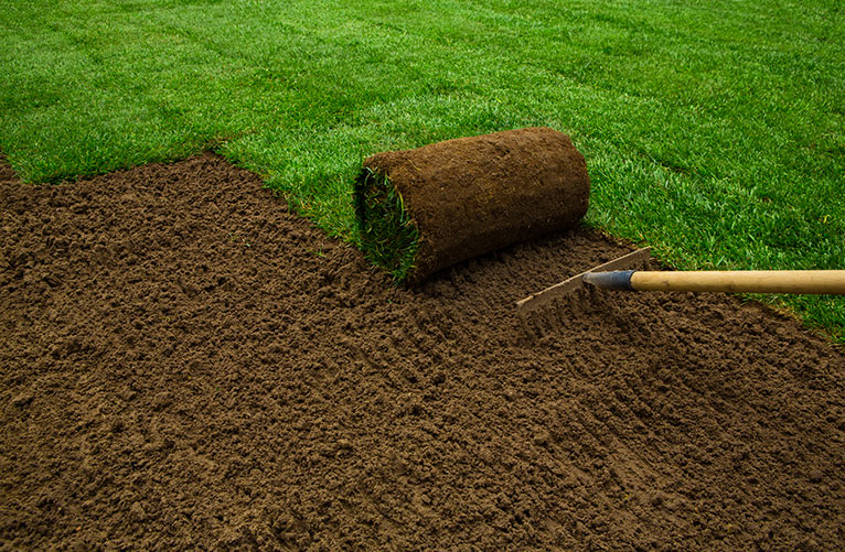 essential new sod care and maintenance advice featured img