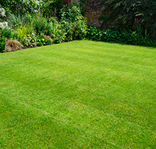 essential new sod care and maintenance advice btm img