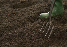 Preparing-Soil