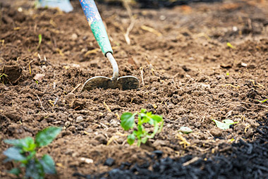 Important and How Soil Cultivating and Tilling |